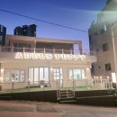 아델스 퍼피 | 강아지분양 부산 부산진구 양정동 아델스퍼피 위치 가격 후기