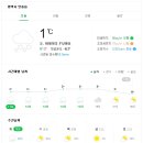 황금애견 이미지