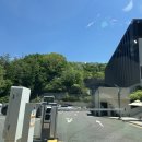 주식회사 문구나무 | [반려견 테마파크] 강원도 춘천 강아지숲 다녀온 후기 🐶🌳
