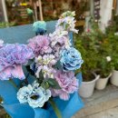 논현1-117 이미지