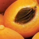 살구숲한의원 이미지