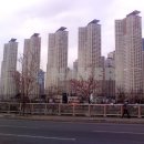 센텀114부동산공인중개사사무소 이미지