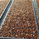 오석산영농조합법인 이미지