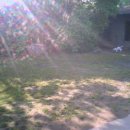 사랑이네 구제 이미지