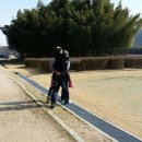 태화초등학교 이미지