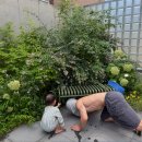 윤승아 카카오 검색결과