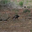 자이언(ZION) 이미지