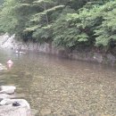 청호정