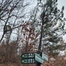 한가라지 이미지