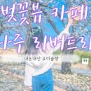 스타벅스 광주풍암호수공원점