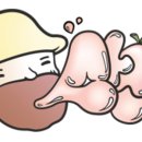 상상농장 이미지