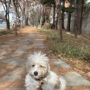 문정힐스 동물병원 이미지