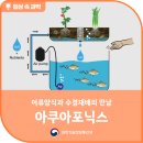 토경팜 | [제품리뷰]유러피안샐러드 1kg 내돈내산 다온팜 후기 아쿠아포닉스 재배 친환경 샐러드