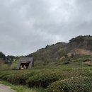 도심경로당 | [하동 아이랑] 도심다원 녹차빙수 먹으러 갔다가 뷰에 반한 후기 (현장석 명당 &amp; 주차 팁)