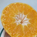 태형농장 이미지