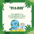 생활속 탄소 중립-제로웨이스트 | 중학교 1학년 환경공예 수업, 탄소중립·제로웨이스트를 공예로 이해하기