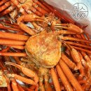 아이에스씨 이미지