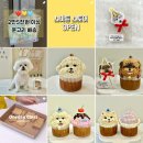 포퍼피(FOR PUPPY) 이미지