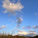 무주읍202 이미지