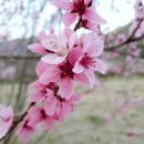 동부꽃농원 이미지