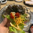 흑산장어