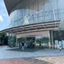 닥터카랜드 | 용인 삼성화재 모빌리티뮤지엄 후기｜에버랜드 옆 가족 나들이 장소, 비오거나 더울 때 딱!