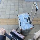 코쿤캅과 사와디캅은 선택 아닌 필수