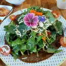 신흥 인 허브 이미지