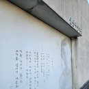 숲속의 이글루 | 윤동주문학관 근처 카페 더숲 초소책방 후기