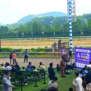 부경반점 | 🎠 서울 경마장, 너두 처음이니? 4탄ㅣ 주말마다 가게 될 줄 몰랐지... 진짜 꿀잼 나들이 장소, 렛츠런파크