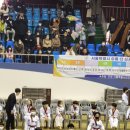 용인대 일등 태권도 이미지