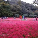 전북 고창 선운산 이미지