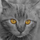 영통동물병원 이미지