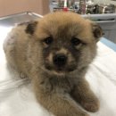 도원리마을회관 이미지