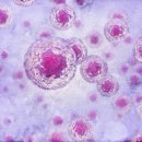 연세숲내과의원 이미지