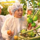 옥토법인 파이낸셜뉴스