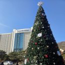 5앤5 당구장 | 소노벨 비발디파크 B동 스위트 스탠다드, 부대시설 식당가 내돈내산 후기