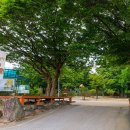 산골마을 영농조합법인 | [경상북도 울진군] 백암온천마을 영농조합법인 야영장