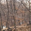 다람산 근린공원 이미지