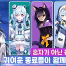 상어PC 티스토리
