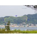 진성무역
