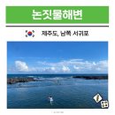 천제교 | 제주 남쪽 스노쿨링 명소 논짓물해변 여름 물놀이 명소