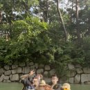 솔풍경 네이버블로그