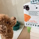 오메가플러스 | 국개대표 델리쿡 오메가플러스 1kg 후기 🐶 강아지 연어 사료로 정착각!