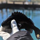 낚고락고 이미지