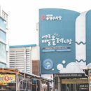 제주도 가볼만한곳 제주 서귀포 매일 올레시장 먹거리 중문 야시장 이미지