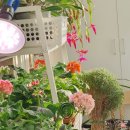 보광세탁소 이미지