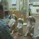 참 이미지