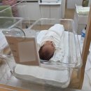 샤론산후조리원 | 영통 시온산후조리원 로얄실 일반실 프로그램 후기