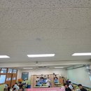 [시민저자학교 6기] 글과 그림으로 편지 쓰기 | [기후행동][꿈디]법무부 보호정책과 제6기 꿈꾸는 디케프로젝트♡♡중학교 시로인성인권반 성장 장편...